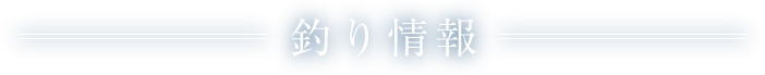 釣り情報