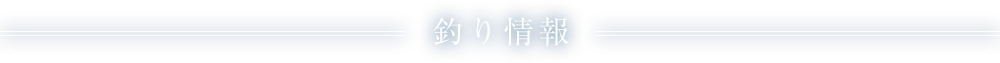 釣り情報